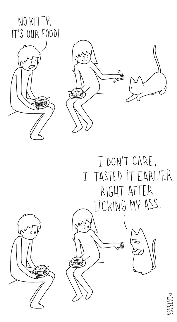 funny-comics-drawings-Catsass-cat-human-relationship-thinks (12)