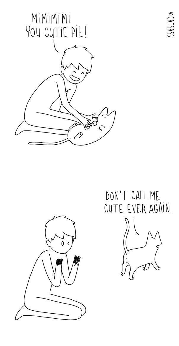 funny-comics-drawings-Catsass-cat-human-relationship-thinks (14)