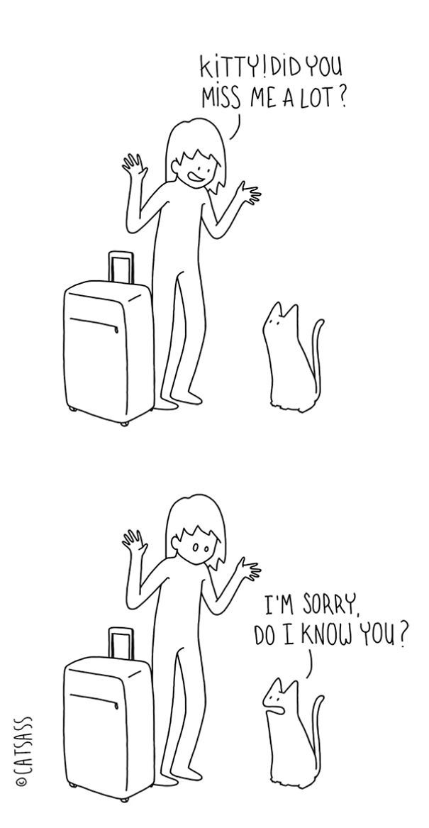 funny-comics-drawings-Catsass-cat-human-relationship-thinks (4)