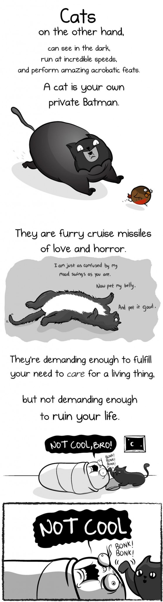 funny-illustrations-baby-vs-cat-hilarious-comics (8)