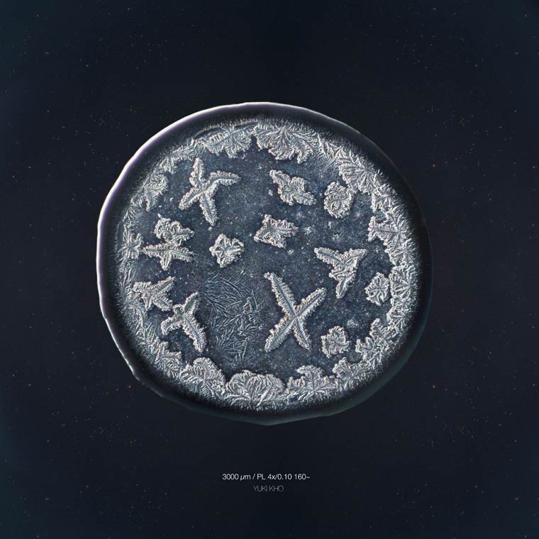 microscope-Tears-images (12)