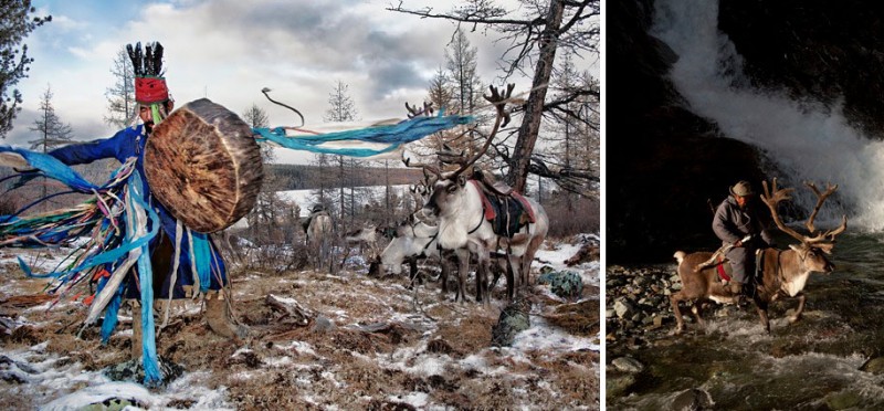 mongolia-reindeer-tribe-Dukha-people-photographs (2)