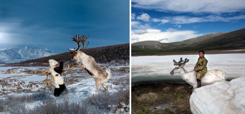 mongolia-reindeer-tribe-Dukha-people-photographs (4)