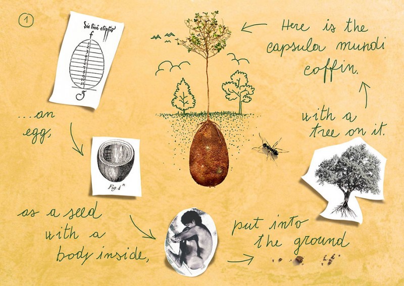 new-concept-biodegradable-coffin-burial-memorial-forest (2)