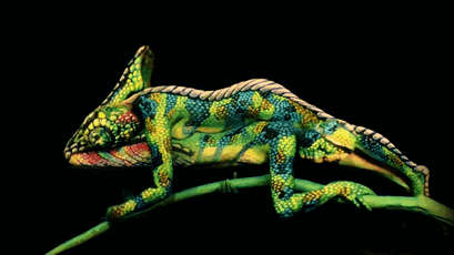 stunning-amazing-body-art-painting-chameleon-images (1)