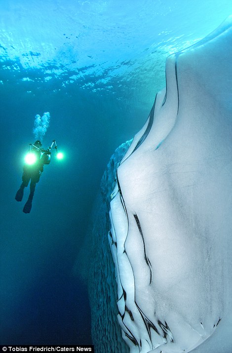 amazing-pictures-of-spectacular-underwater-icebergs (3)