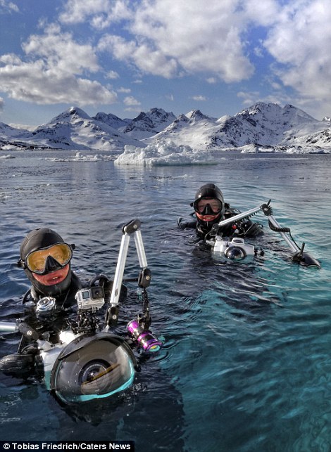 amazing-pictures-of-spectacular-underwater-icebergs (4)