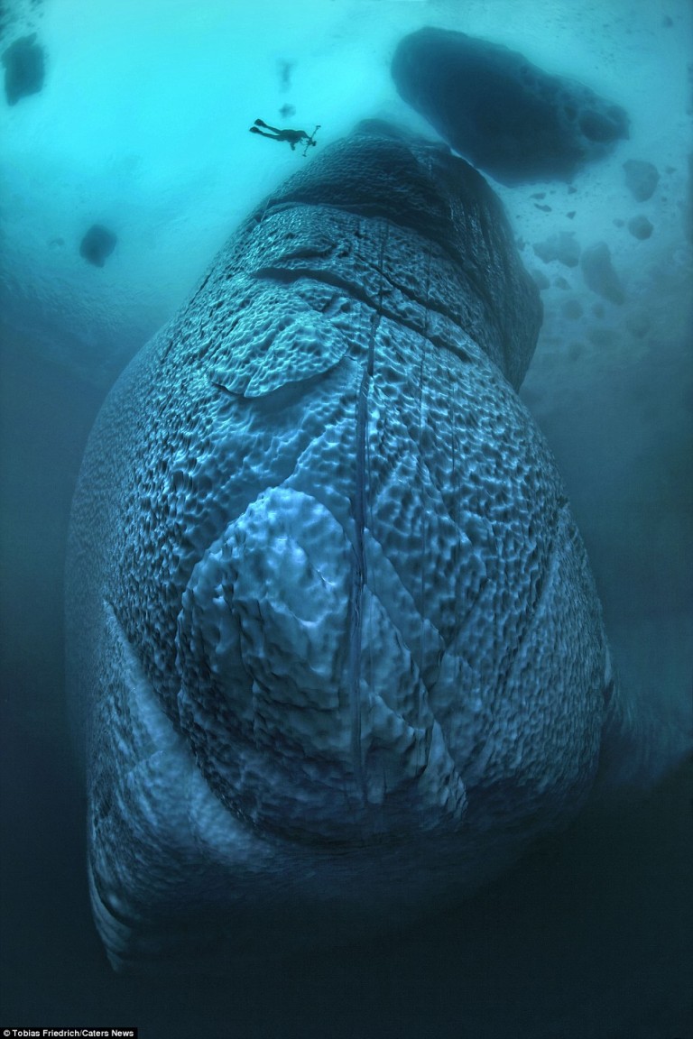 underwater iceberg photography