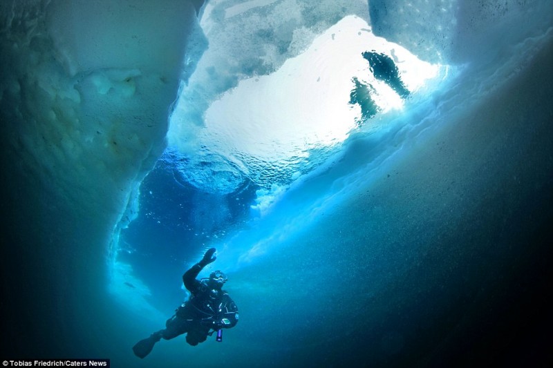 amazing-pictures-of-spectacular-underwater-icebergs (7)