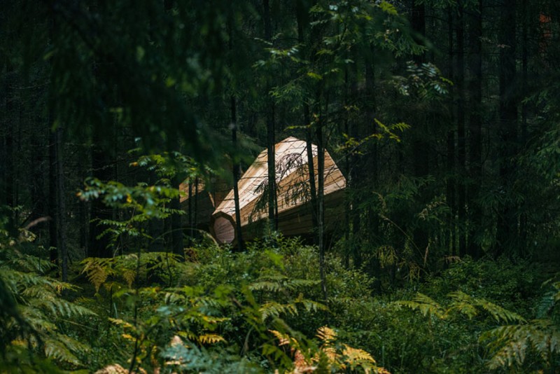 art-installation-nature-forest-sounds-giant-megaphone (4)