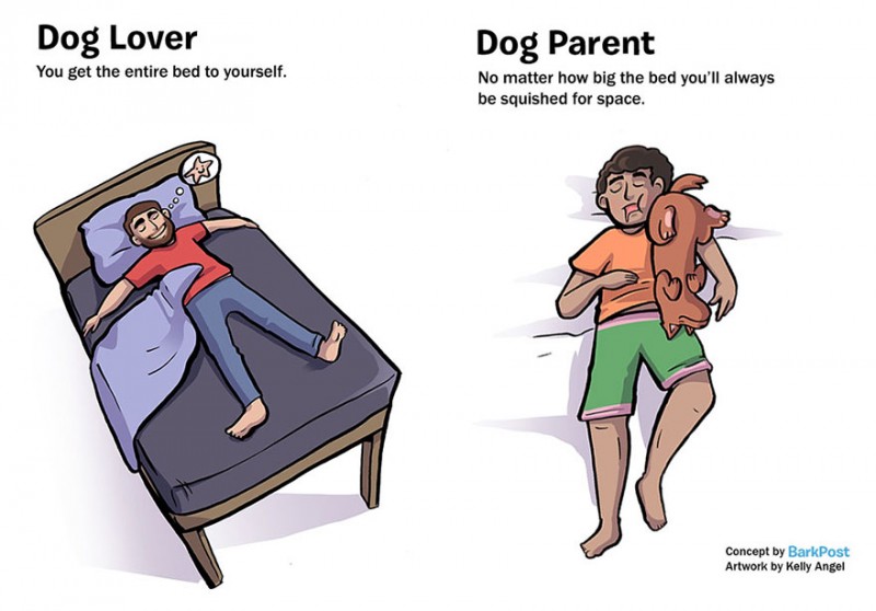 interesting-comics-dog-lover-vs-parent-illustration (3)