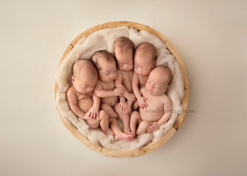 adorable-pictures-of-newborn-baby-quintuplets-photoshoot (7)