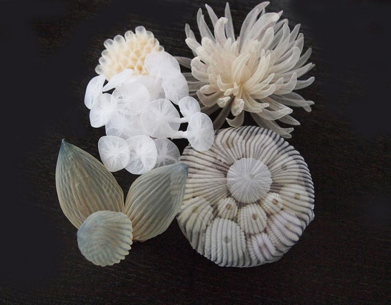 beautiful-jewerly-translucent-fabric-inspired-sea-creatures (5)