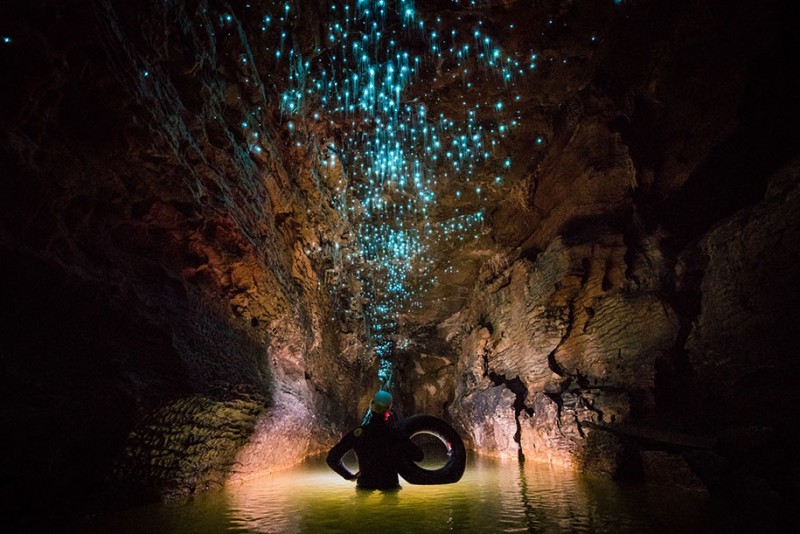 beautiful-pictures-glow-worms-limestone-caves-new-zealand (1)