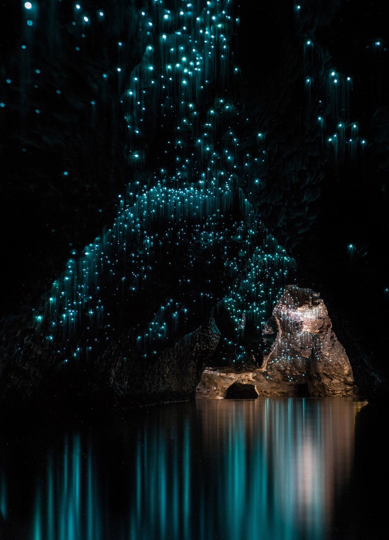 beautiful-pictures-glow-worms-limestone-caves-new-zealand (8)