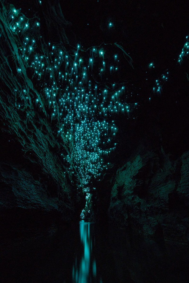 beautiful-pictures-glow-worms-limestone-caves-new-zealand (9)