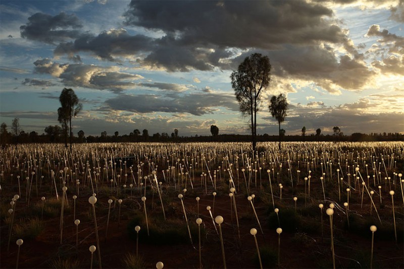 surreal-art-installation-light-field-australia-desert (3)