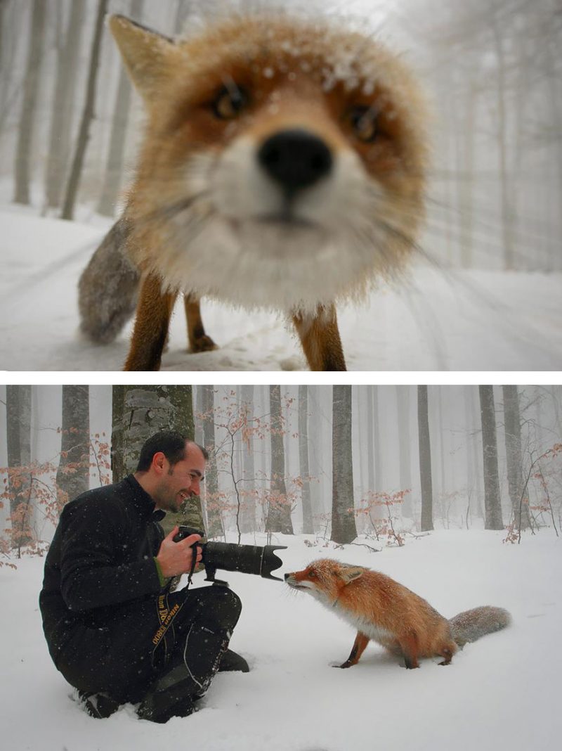 behind-the-scenes-photography-creative-photos (8)