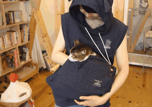 cat-carrying-hoodie-summer-mewgaroo-hoodie (1)