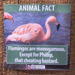 funny-animal-facts-fake-signs-los-angeles-zoo-obvious-plant-jokes (1)