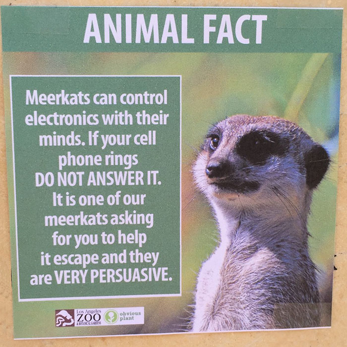 funny-animal-facts-fake-signs-los-angeles-zoo-obvious-plant-jokes (2)