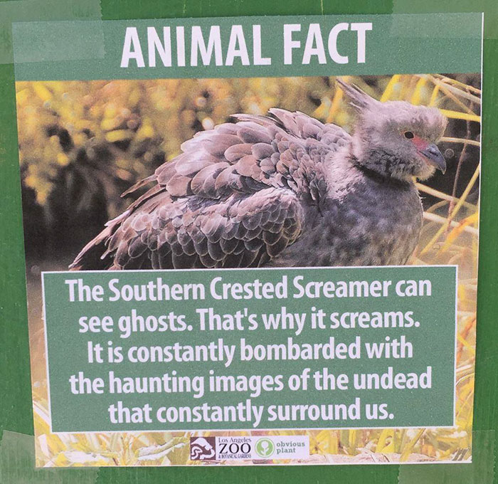 funny-animal-facts-fake-signs-los-angeles-zoo-obvious-plant-jokes (3)