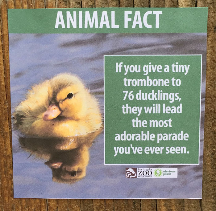 funny-animal-facts-fake-signs-los-angeles-zoo-obvious-plant-jokes (5)