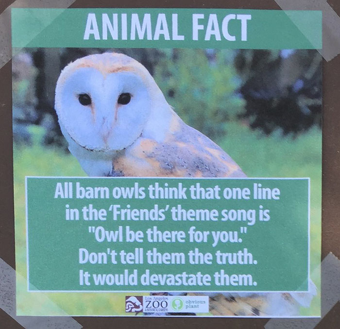 funny-animal-facts-fake-signs-los-angeles-zoo-obvious-plant-jokes (6)