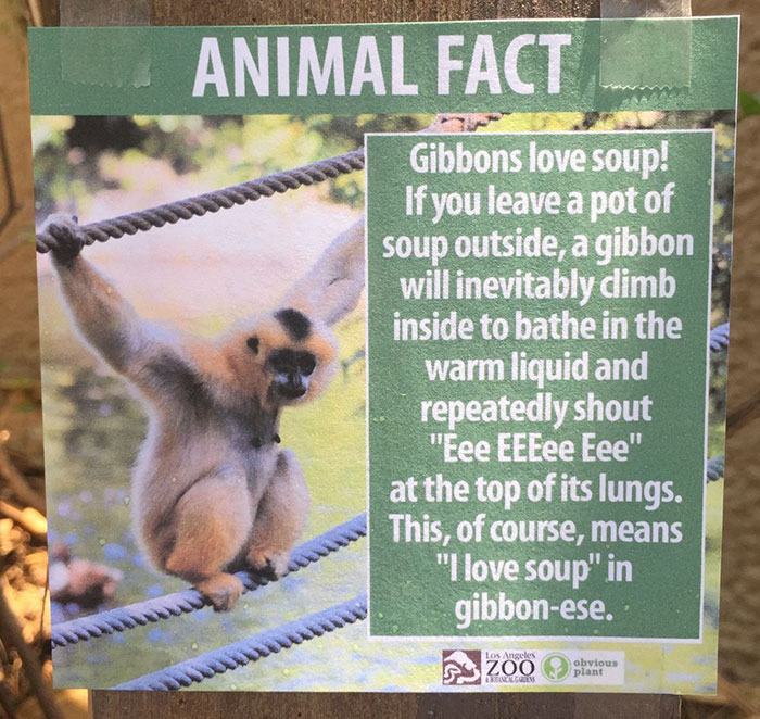 funny-animal-facts-fake-signs-los-angeles-zoo-obvious-plant-jokes (9)