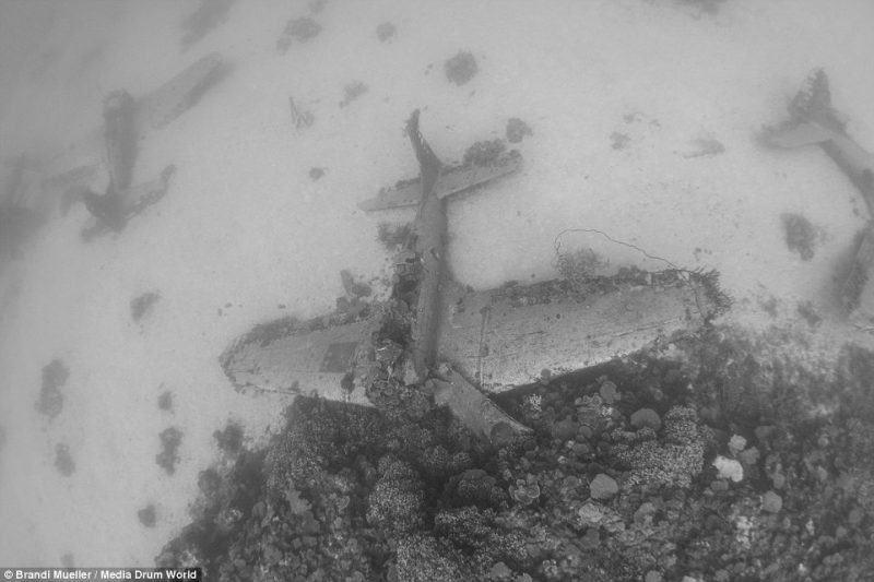 underwater-plane-graveyard-World-War-Two-fighters-photography (11)