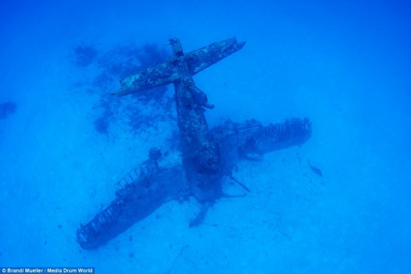 underwater-plane-graveyard-World-War-Two-fighters-photography (17)