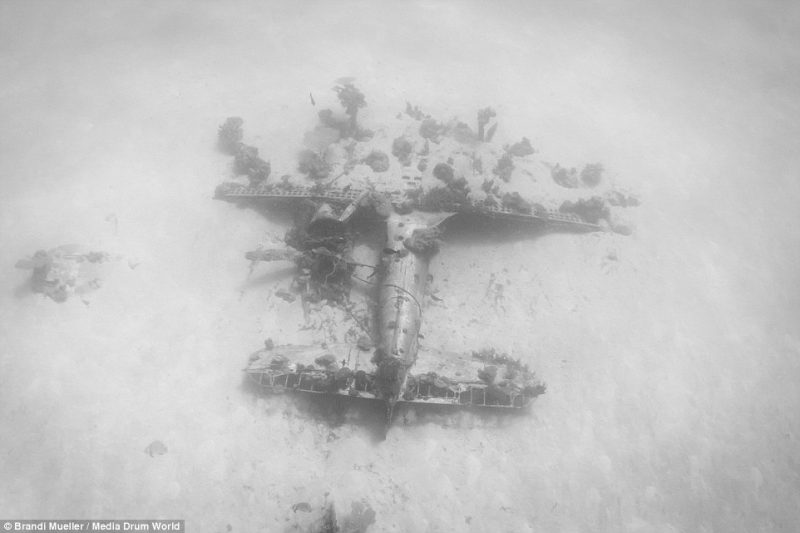 underwater-plane-graveyard-World-War-Two-fighters-photography (7)