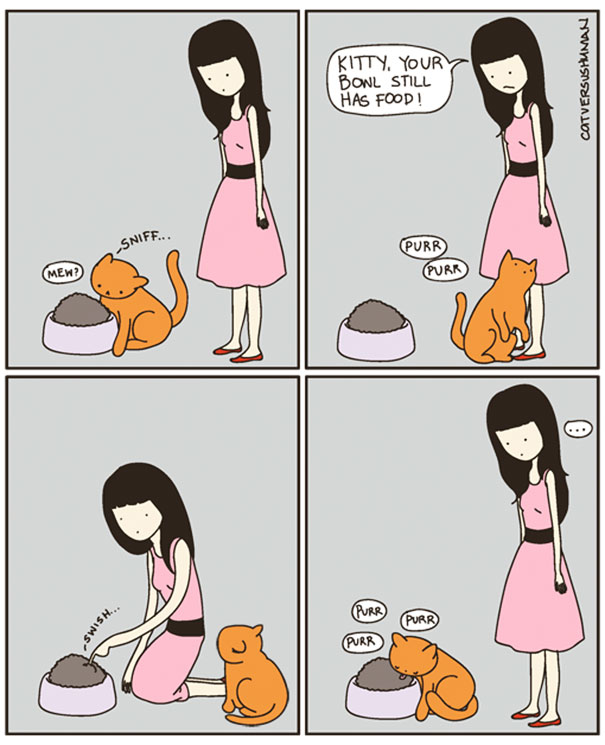 funny-comics-cat-vs-human-illustrations (14)