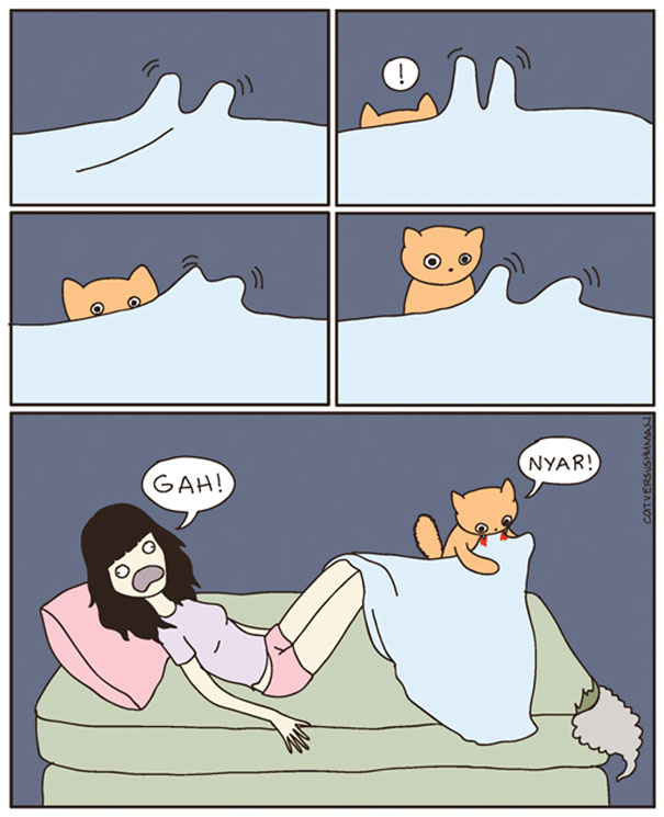 funny-comics-cat-vs-human-illustrations (2)
