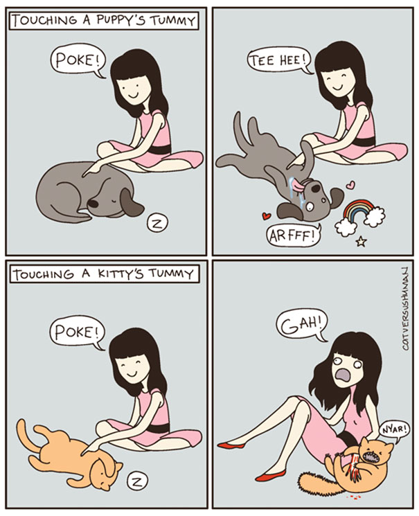 funny-comics-cat-vs-human-illustrations (5)