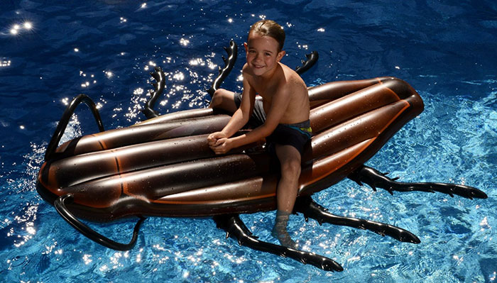 horrible-gigantic-cockroach-raft-inflatable-swimming-pool-toy (1)