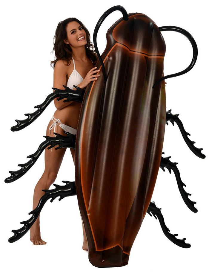 horrible-gigantic-cockroach-raft-inflatable-swimming-pool-toy (2)