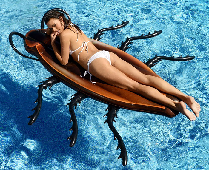 horrible-gigantic-cockroach-raft-inflatable-swimming-pool-toy (5)