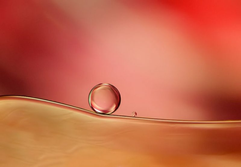 abstract-macro-photography-pictures-oil-and-water-8