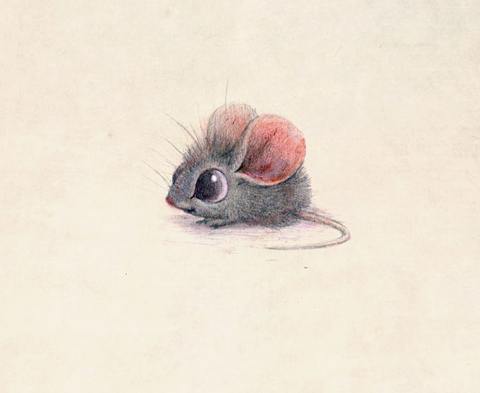 adorable-cute-animal-illustrations-10