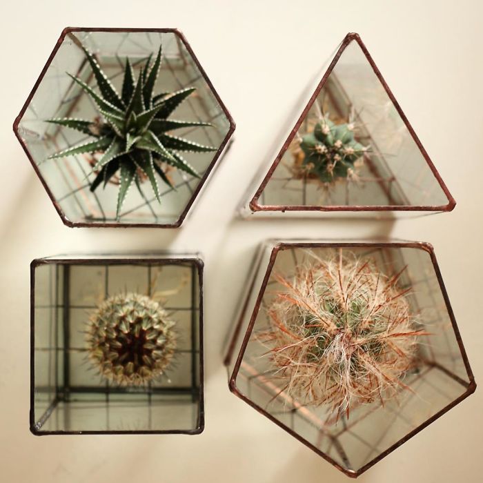 glass-terrarium-sculpture-design-14