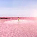 incredible-pink-lagoon-lake-las-coloradas-mexico-10