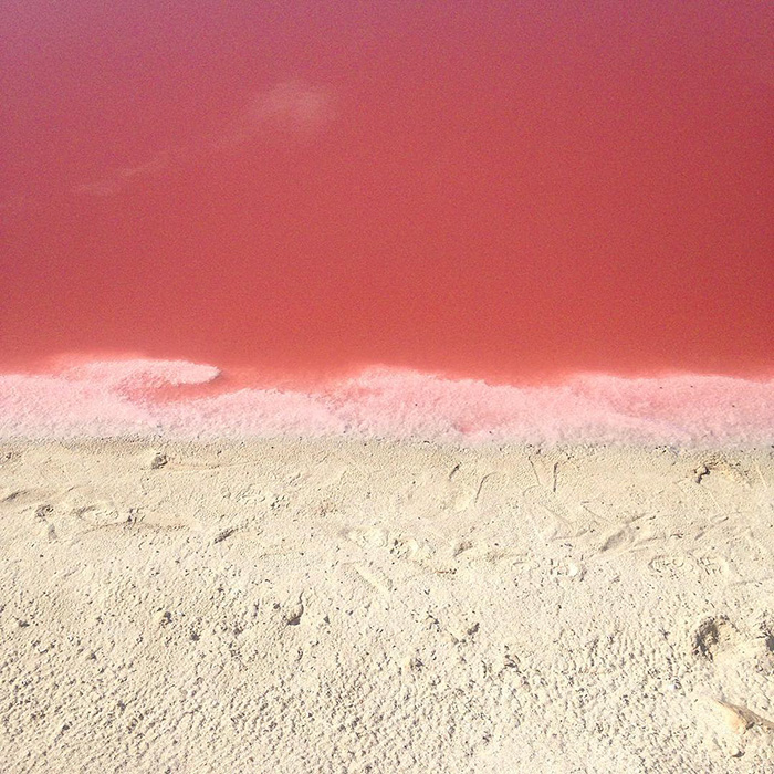 incredible-pink-lagoon-lake-las-coloradas-mexico-4