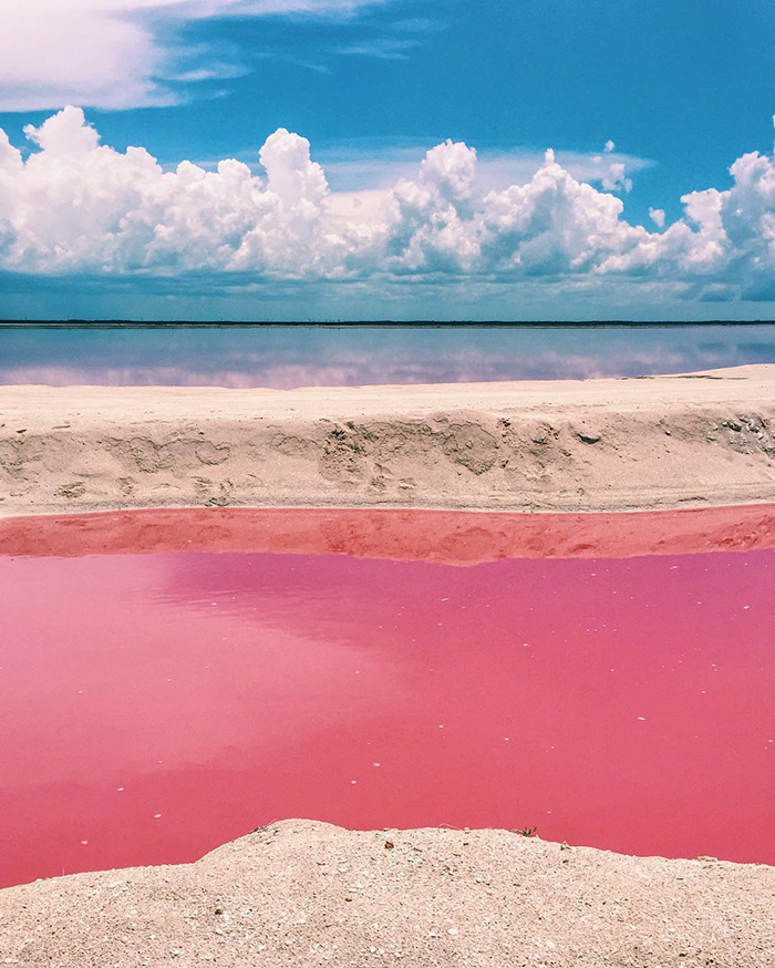incredible-pink-lagoon-lake-las-coloradas-mexico-8