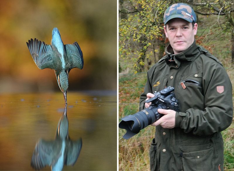 wildlife-photography-perfect-kingfisher-dive-photo-5