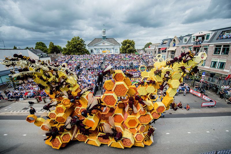 worlds-largest-flower-sculpture-parade-corso-zundert-netherlands-15