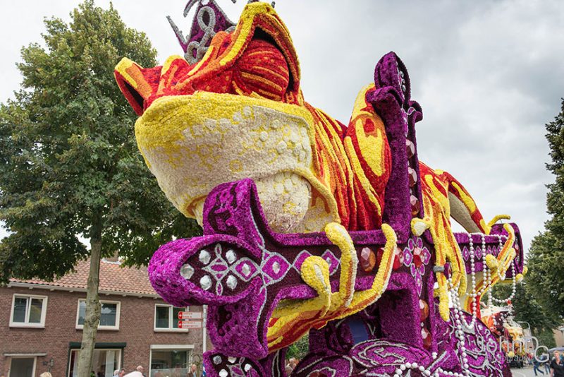 worlds-largest-flower-sculpture-parade-corso-zundert-netherlands-4