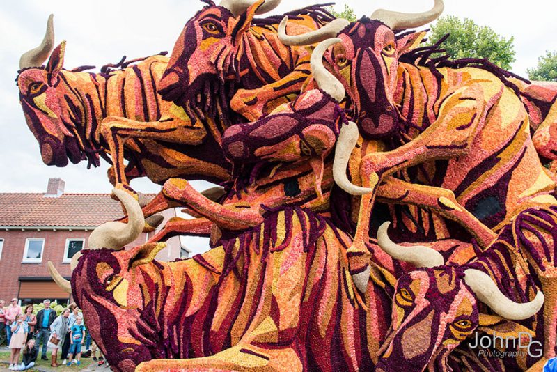 worlds-largest-flower-sculpture-parade-corso-zundert-netherlands-5