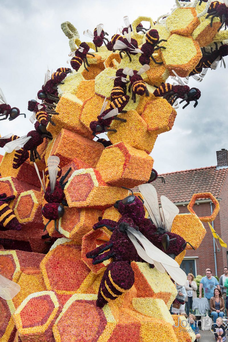 worlds-largest-flower-sculpture-parade-corso-zundert-netherlands-6