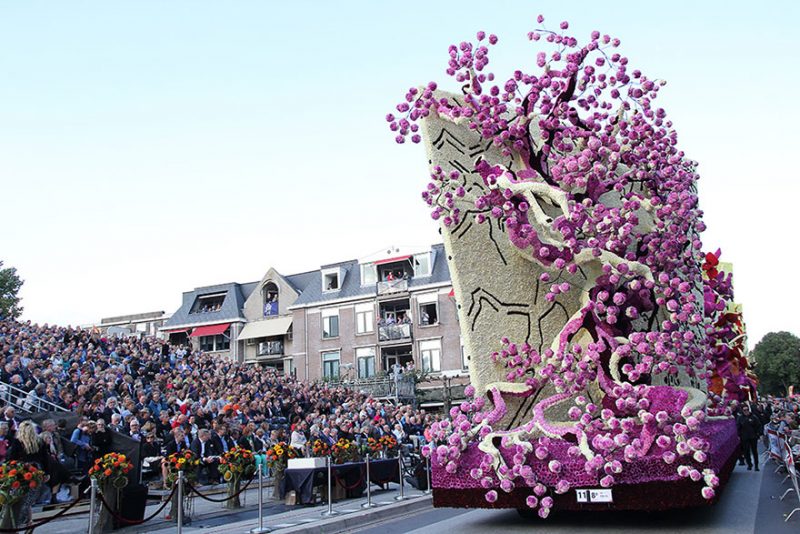worlds-largest-van-gogh-flower-parade-floats-corso-zundert-netherlands-4